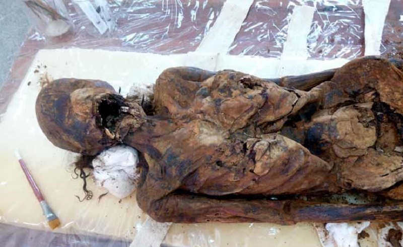 Ministry of Antiquities Restores 'Screaming Mummies' in Dakhla Oasis
