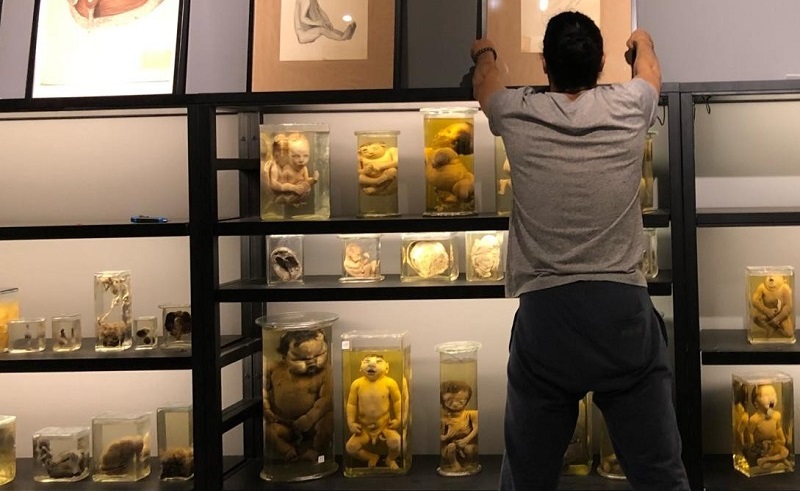Middle-East’s Biggest OBGYN Museum Opens in Egypt