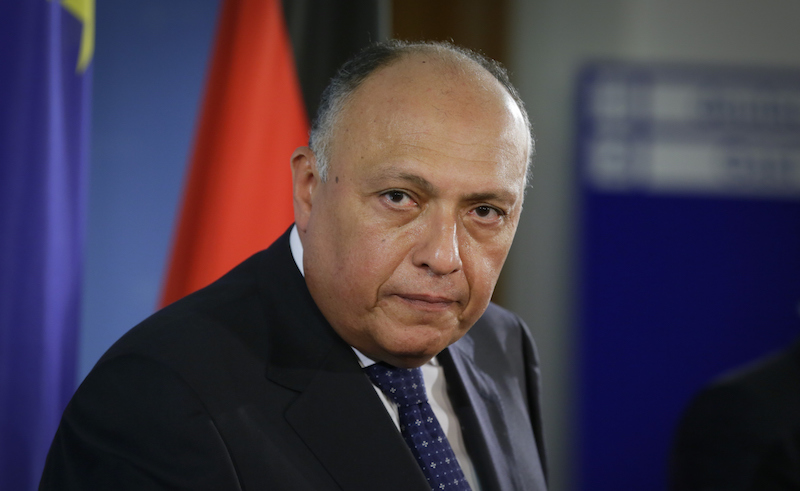 Egyptian Foreign Minister Enraged Over Controversial Poll by Russia Today