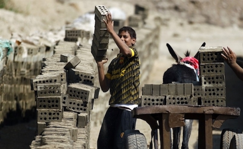 Egyptian Ministry of Manpower Files Lawsuit Against 74 Institutions for Child Labour