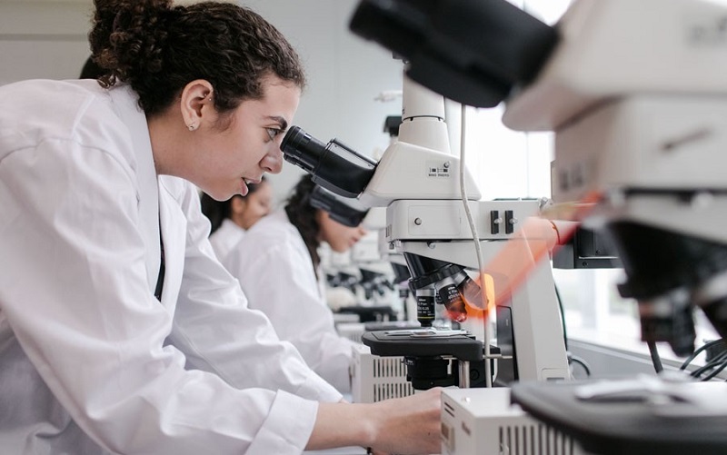 Egypt to Create a Database of Egyptian Scientists Living Abroad