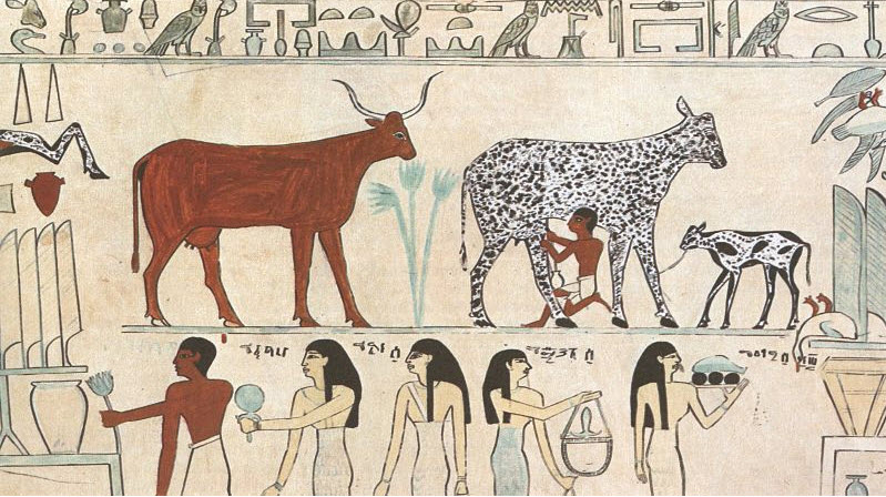 'World's Oldest Cheese' Discovered in Ancient Egyptian Tomb