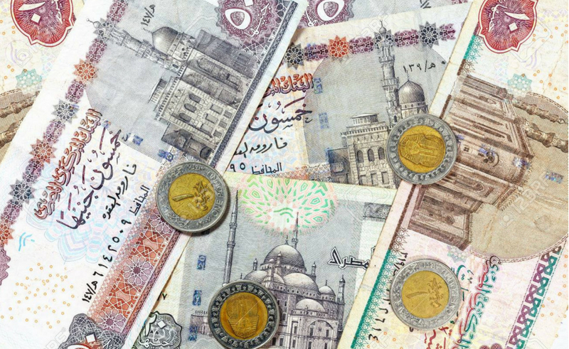 Finance Ministry Considers Introducing EGP 2 Coin 