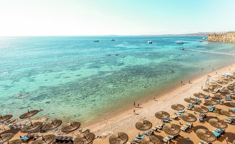 Sharm El Sheikh to Host UN Biodiversity Conference This Week