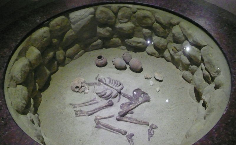 Second Oldest Skeleton in the World
