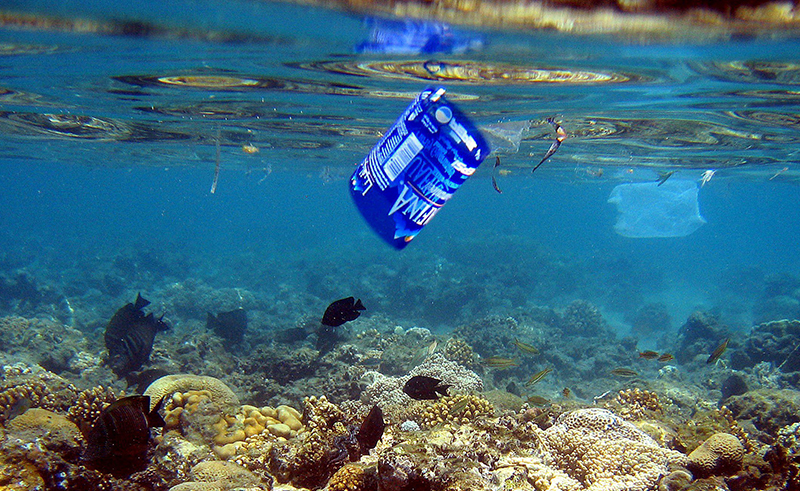 Dahab Launches Campaign to Become Plastic-Free Town
