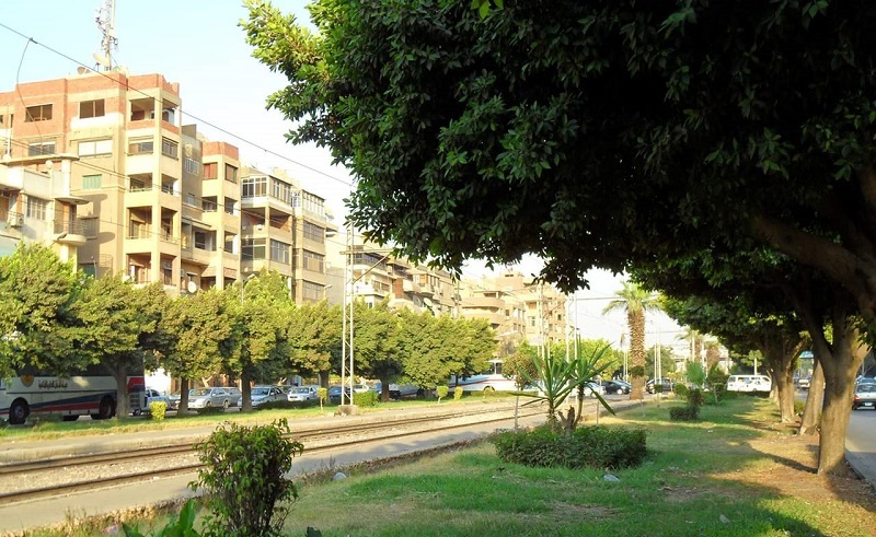 500-Plus Trees to Be Cut Down in Heliopolis to Make Way for New Bridge