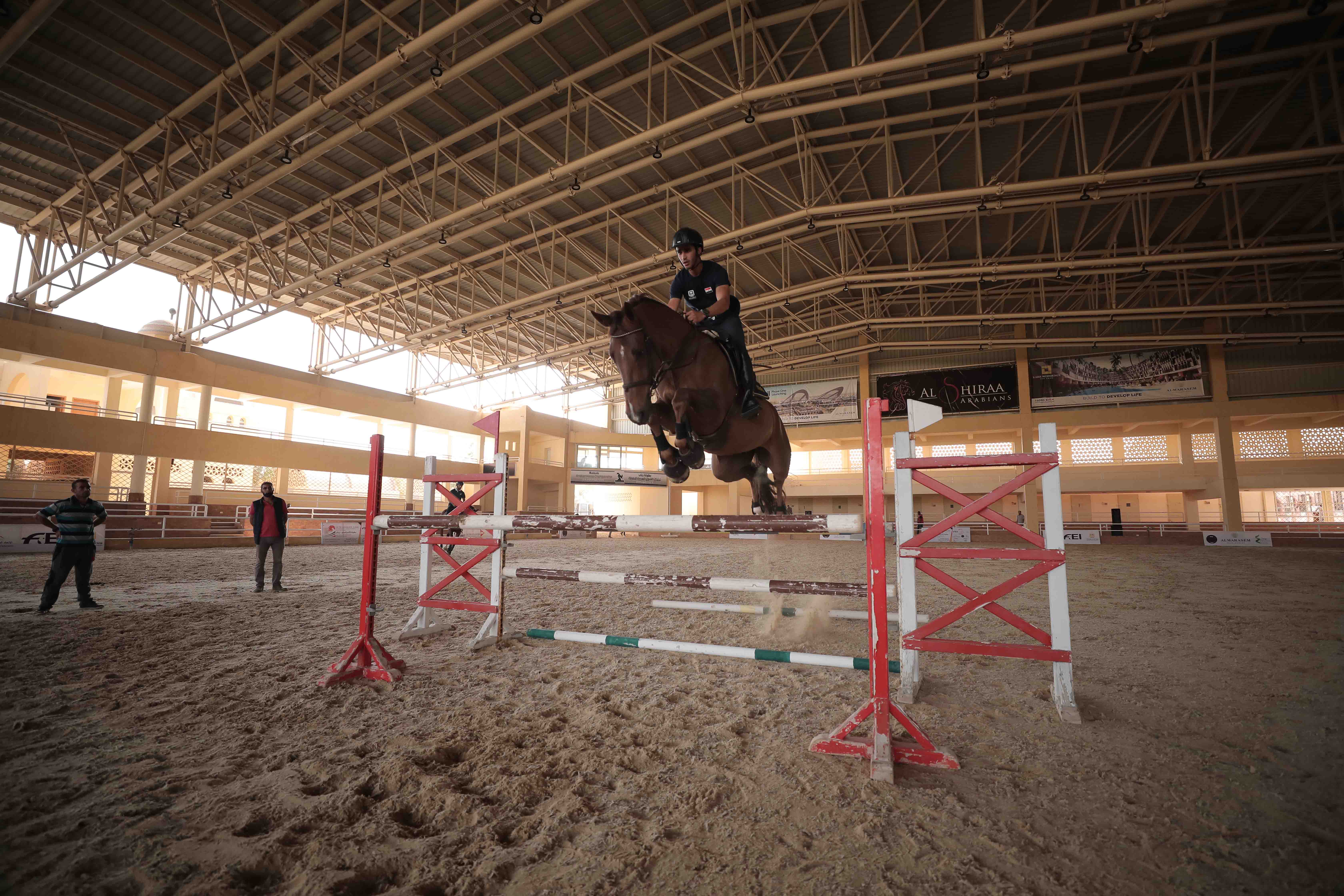 Meet the Egyptian Equestrian Riding to the 2020 Tokyo Olympic Games