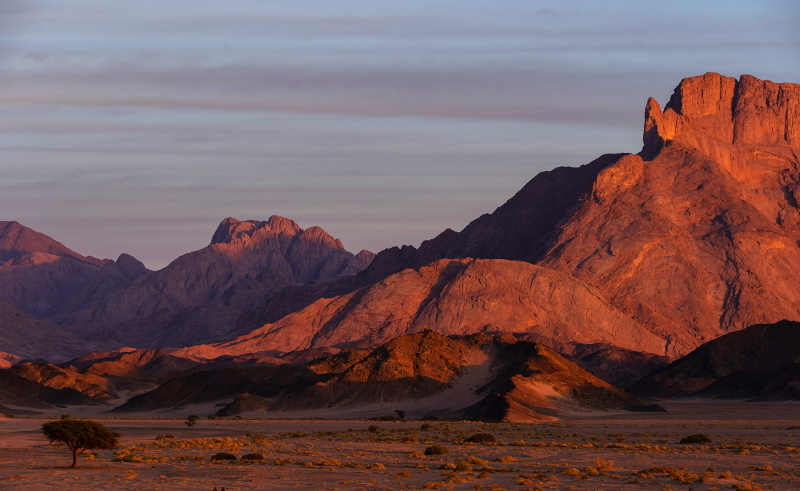 Hike Sinai’s Mountains and Learn to Live Like a Bedouin - From Your Phone Screen