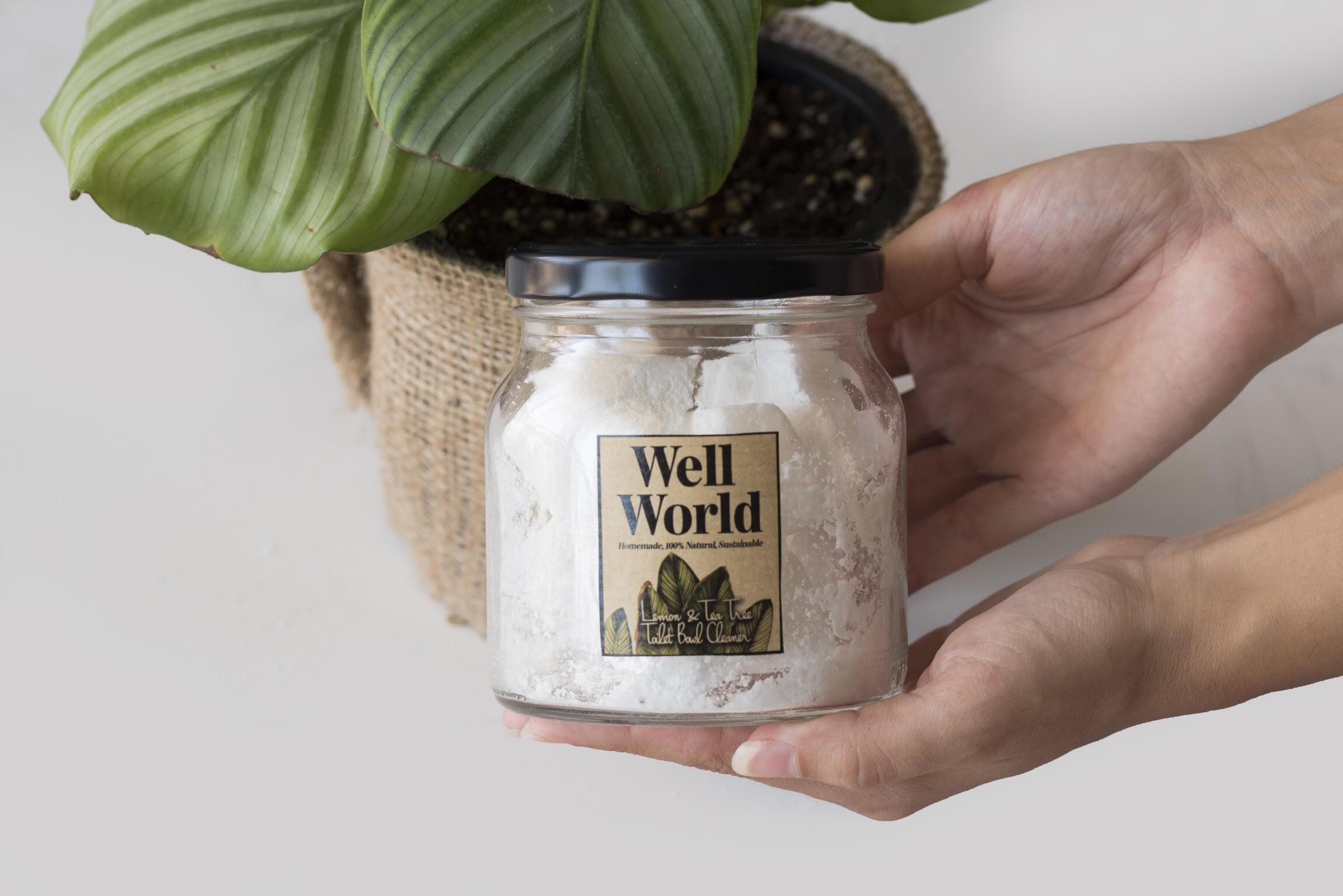 Local Brand Well World Makes Sustainable All-Natural Homecare Products