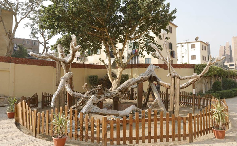 Cairo’s Tree of the Virgin to be Redeveloped in October