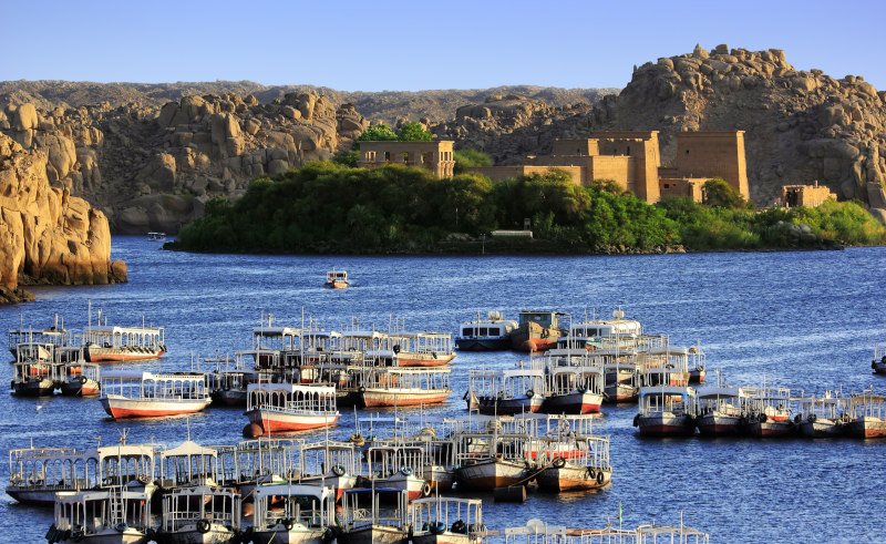 Fishing Temporarily Banned at Lake Nasser to Save Wildlife