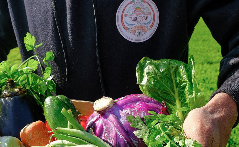 Pure Grow Farms Delivers the Freshest Produce Straight to Your Door