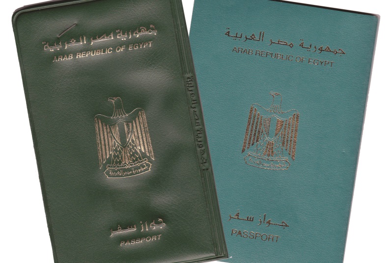 Ministry Suggests Revoking Citizenship of 'Traitors' Abroad