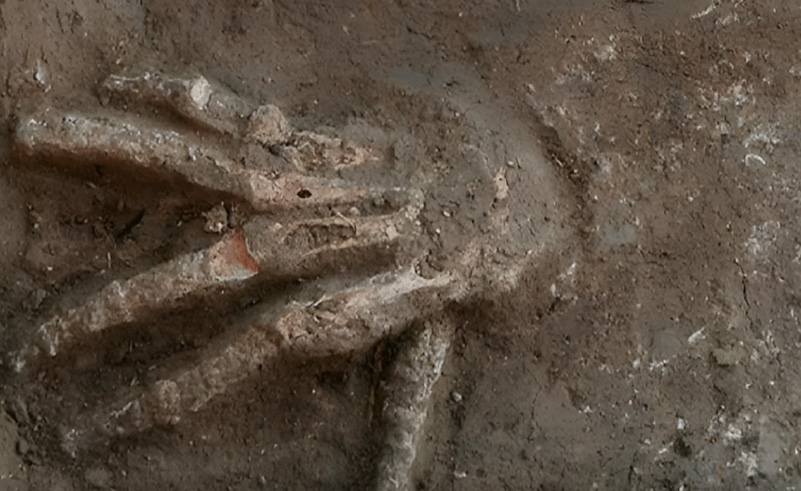 Severed Hands Unveil Ancient Egyptian War Practices in Nile Delta