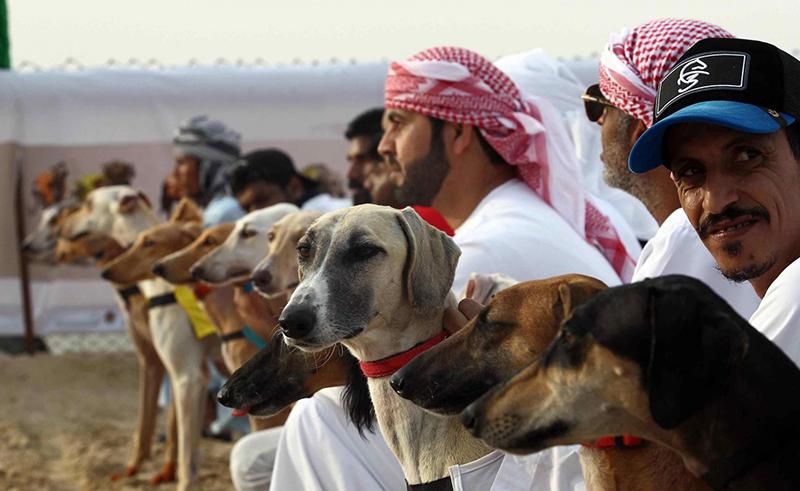 Saudi Arabia to Host First ‘Global Dog Festival’ During Riyadh Season 