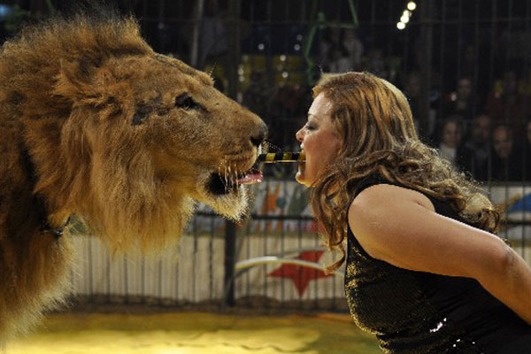Video: Lion Attacks Handler in Egypt Circus