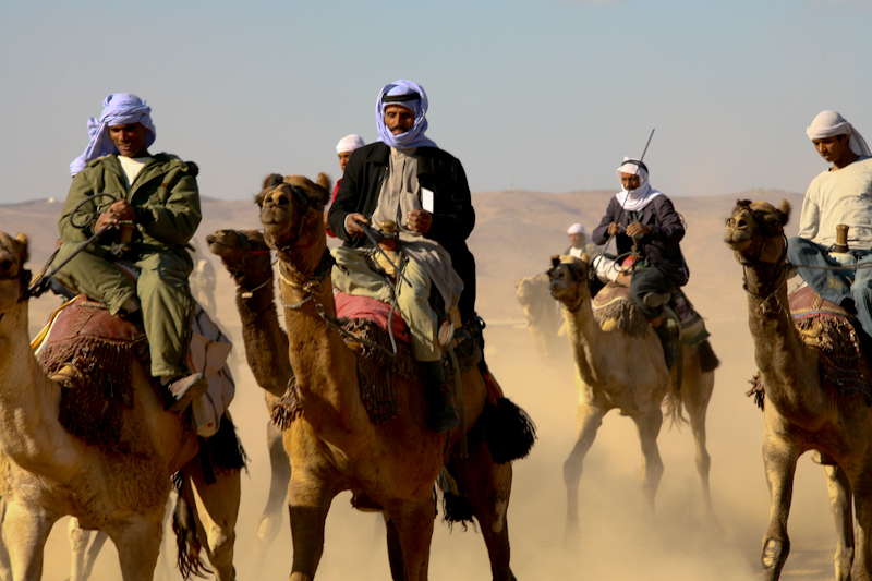 Explore Egypt on Bus Filled With Bedouins