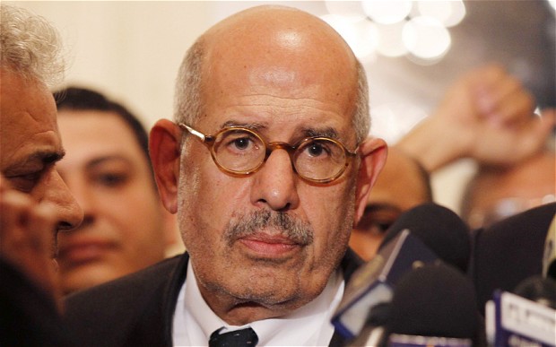 ElBaradei is Not a Blow-Up Doll
