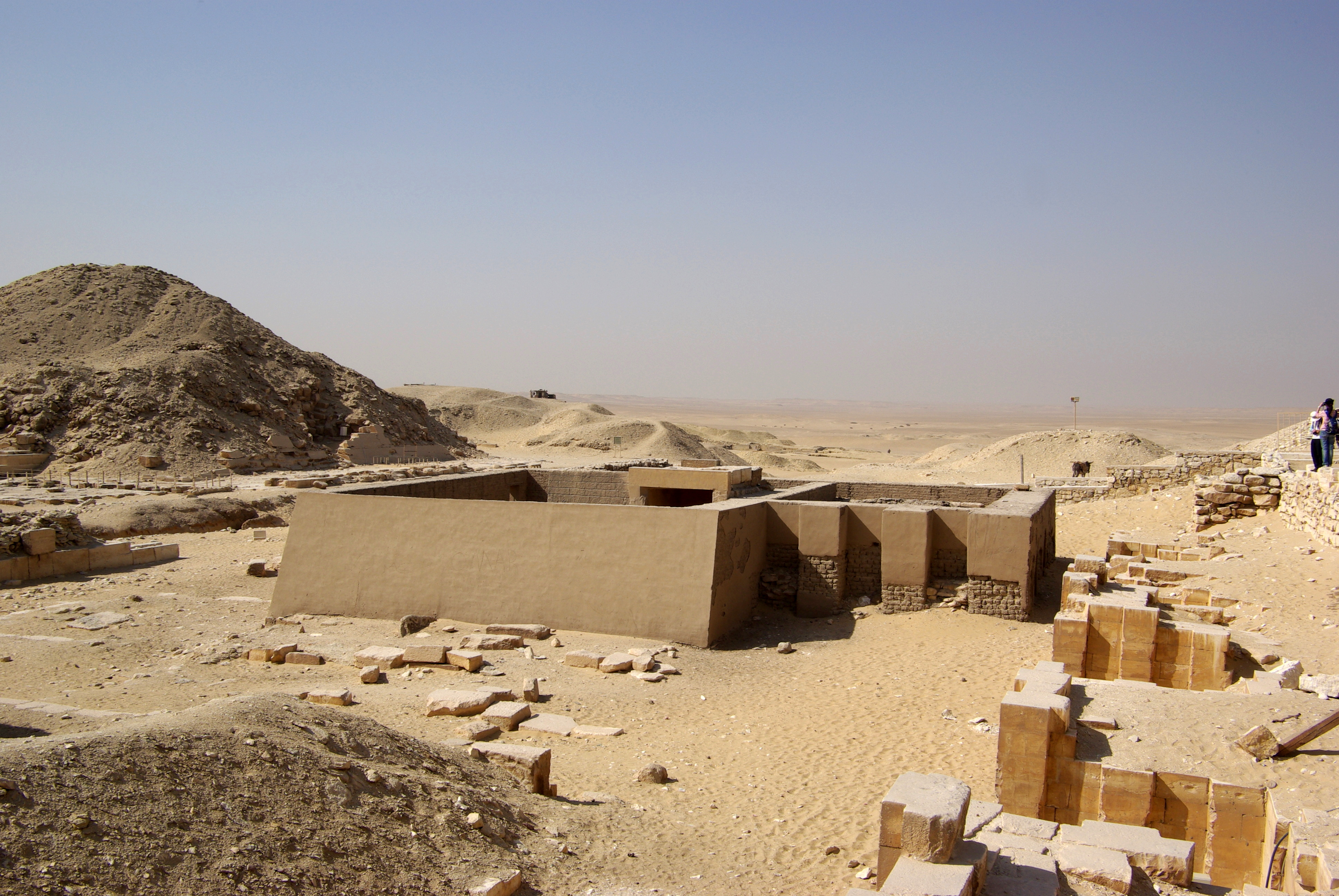 Nearly Eight Million Mummified Animals Unearthed in Egypt 