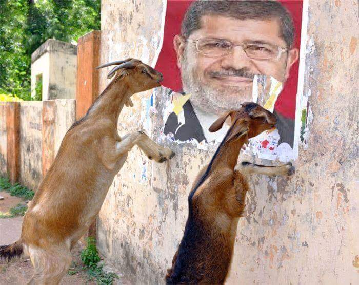 Morsi Rejects Prison Food