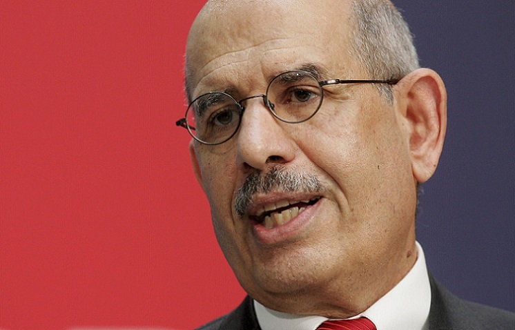ElBaradei's Biography to Be Reinstated in School Textbooks
