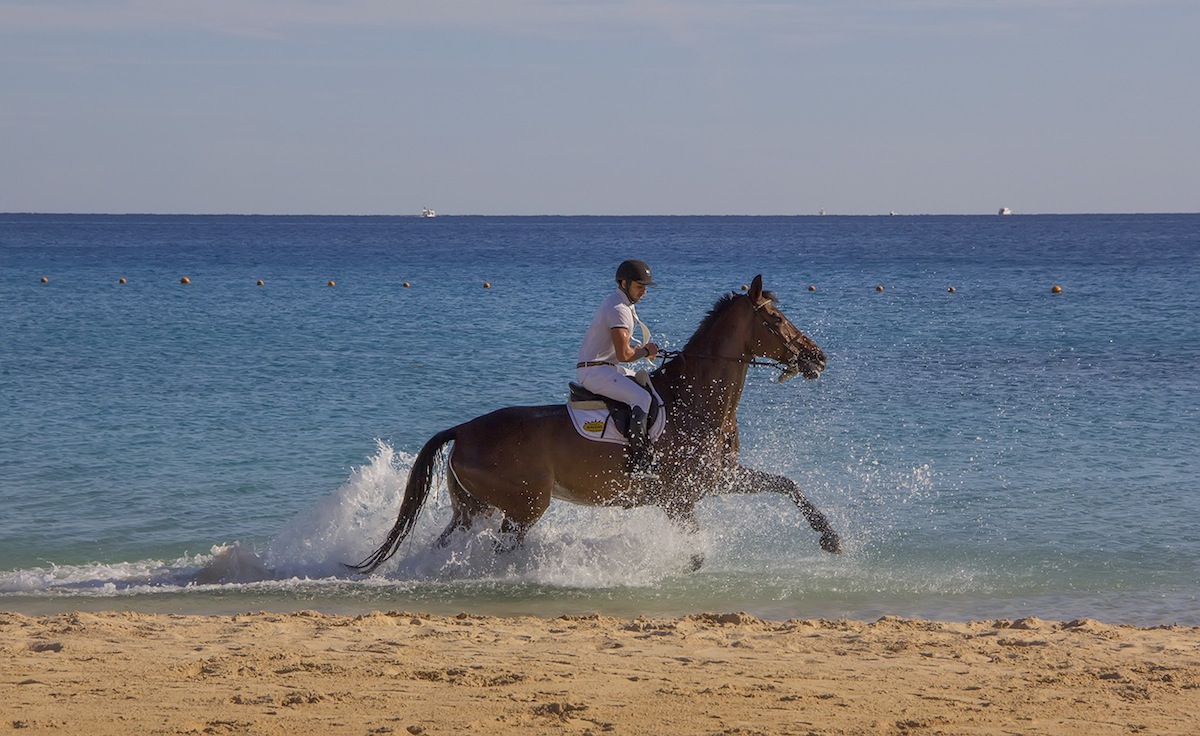 Sahl Hasheesh Will Be Hosting Its First International Equestrian Championship This April
