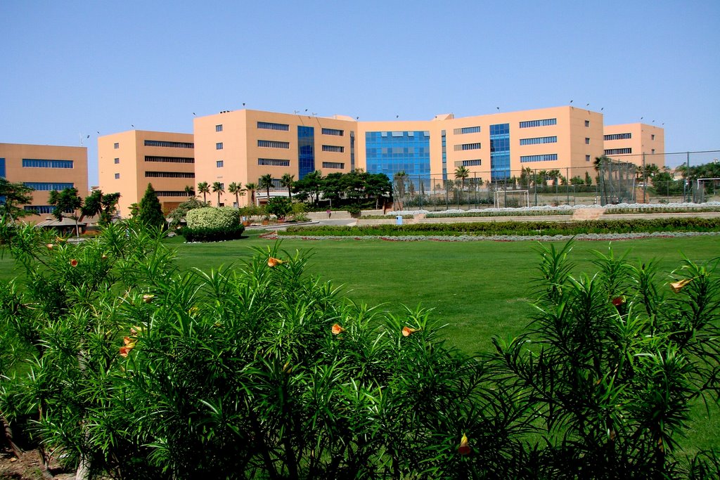 GUC Professor Fired for Student's 'Immoral Work'