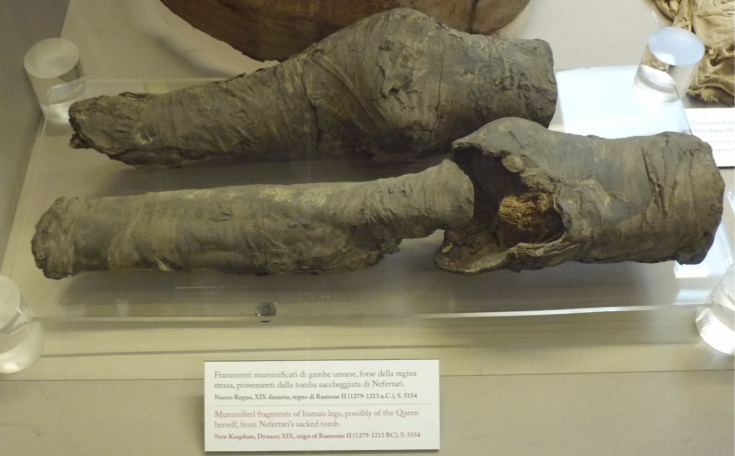 Could These Mummified Legs Found in Italy Belong to a Dismembered Queen Nefertari?