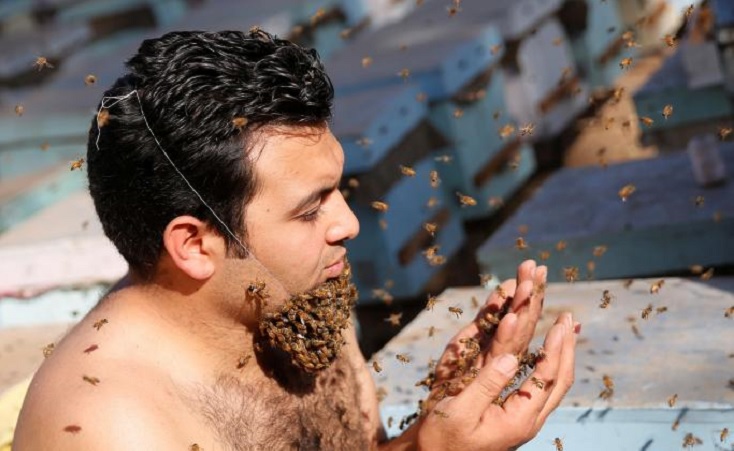 Why This Egyptian Man is Growing a Burly Beard of Bees