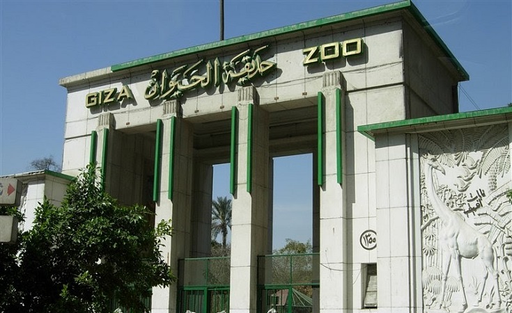 5 Falcons Stolen from the Giza Zoo