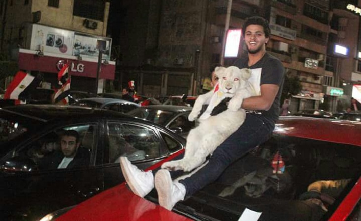 Video: Lion Cub Paraded in Gamaet El Dewal During Egypt's Football Victory Celebrations