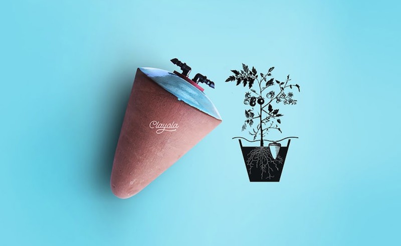 Clayola: The Brilliant Egyptian Invention that Keeps Your Plants Watered for Months