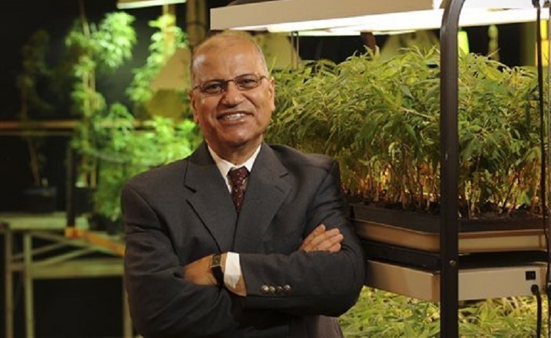 Video: This Egyptian Professor Is the US Government’s Only Provider of Marijuana