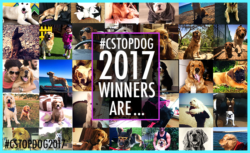 Is your Furry Buddy One Of Our #CSTopDog2017 Winners?