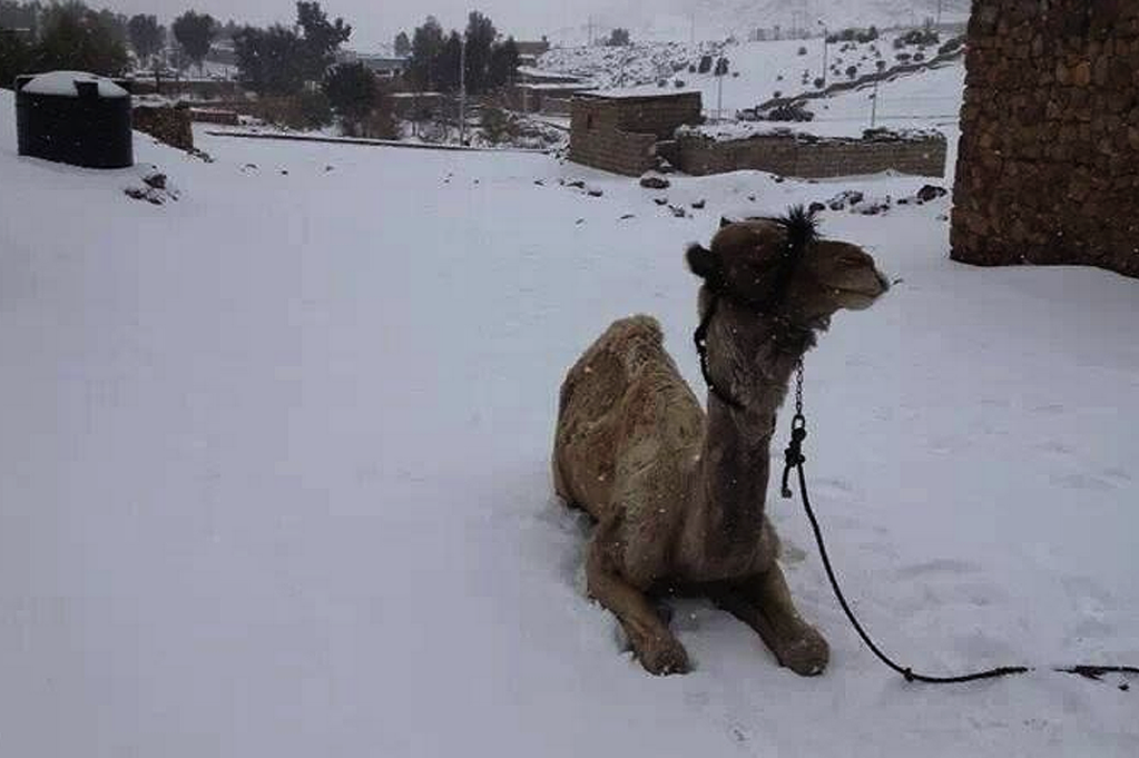 12 Things That Happen Every Winter in Egypt 