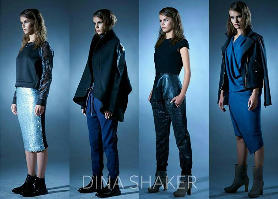 Dina Shaker: Aesthetic Experience