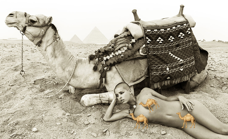 Naked at The Pyramids: These Artists Stir A World of Controversy With Nude Photos