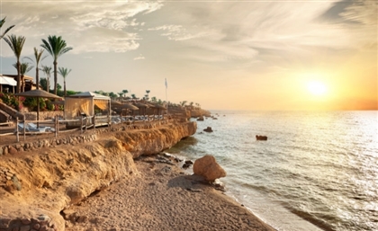 HSBC to Fund Egypt's Ecosystem Project to Restore the Red Sea Coast