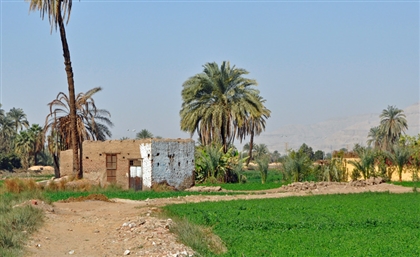 Egypt to Establish 1,000 Mobile Stations in Rural Villages