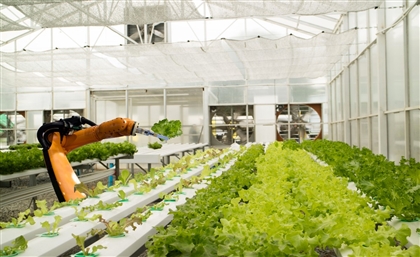 Egypt & China to Establish Joint Lab for Smart Agriculture