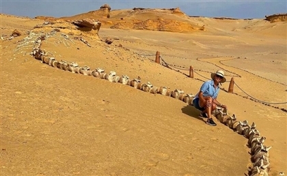 Giant Prehistoric Whale Fossils Await in Egypt's Wadi al-Hitan