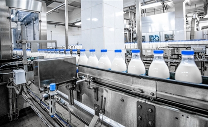 Fayoum Opens Its First Solar-Powered Dairy Factory