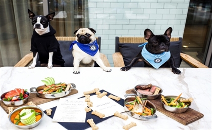 Fine-Dining for Dogs Is Now a Reality with Petman 