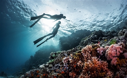 Egypt Listed as One of the World’s Top Two Diving Spots